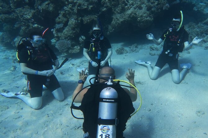 PADI Open Water Diver Course - Moving from confined water to the Red Sea