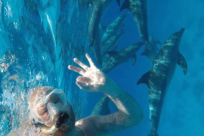 PADI Open Water Diver Course in Hurghada - Learn Scuba Diving - Key points before you book