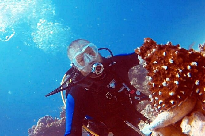 PADI Open Water Diver Course in Hurghada - Learn Scuba Diving - What this PADI course actually teaches you