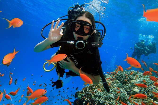 PADI Scuba Diver (PSD) - Key points to know before booking