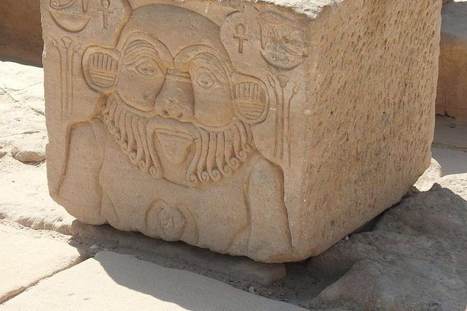 Philae Temple and Aswan High-Dam Half-day tour - The private guide and driver experience