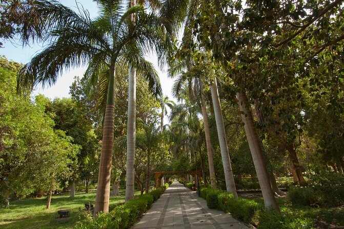 Private 1-Hour Felucca Sailing and Botanical Garden In Aswan - The private format and what it really gives you
