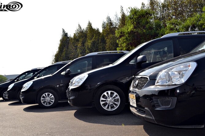 Private Airport Transfer: Cairo Airport Transfer to anywhere in Cairo - What the $24 Group Price Really Gets You