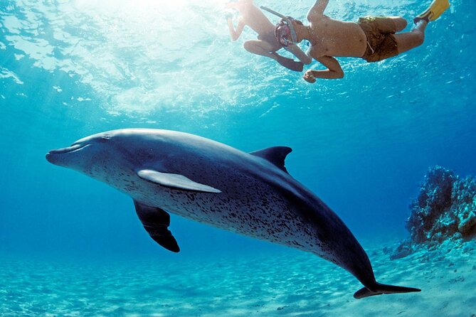 Private Boat to Dolphin House Full day Snorkeling Sea Trip Max 10 Pax - Hurghada - Returning along Hurghada’s coast