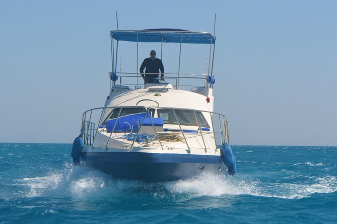 Private Boat to Dolphin House Full day Snorkeling Sea Trip Max 10 Pax - Hurghada - Is $100 per person good value?