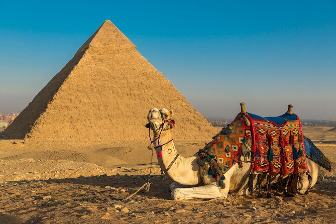 Private Cairo Aswan Luxor 8 days 7 nights with Nile Cruise - Luxor’s west bank covers tombs, terraces, and statues