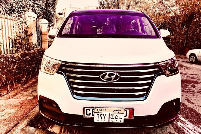 Private City Transfer from Cairo Airport - Who will find this most useful