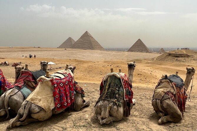 Private Day Pyramids and Grand Egyptian Museum with free camel - Practical advice before you book