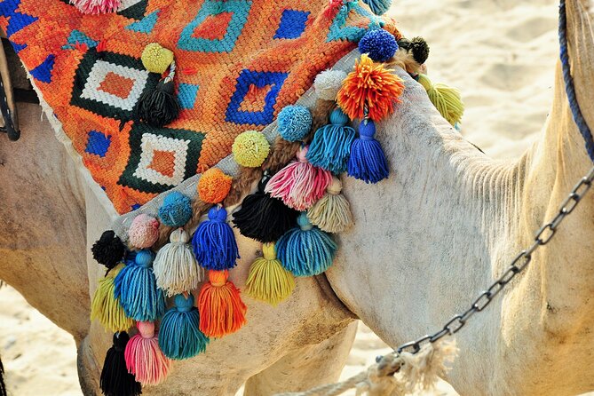 Private Day Tour of Giza Pyramids, Egyptian Museum, and Bazaar" - One Hour at the Great Sphinx
