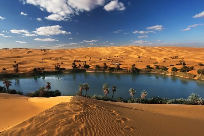 Private Day Tour To El Fayoum From Cairo - What the Jeep safari adds