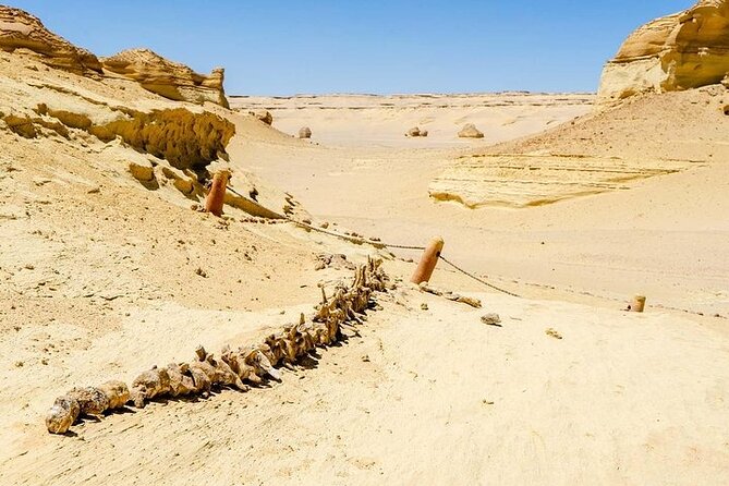 Private Day Tour To El Fayoum From Cairo - Leaving Cairo in a private air-conditioned vehicle