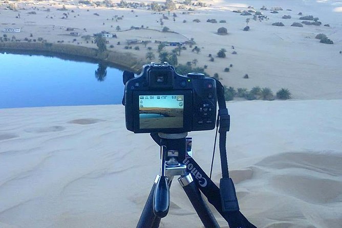 Private Day Tour To White Desert And Bahariya Oasis - White Desert National Park and the pale stone formations