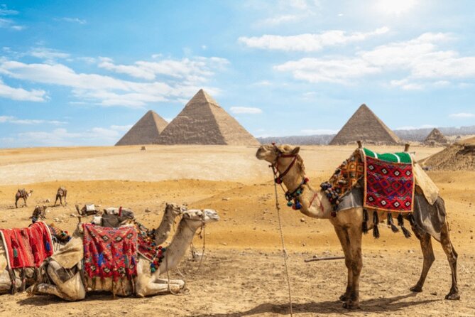 Private day trip to Cairo from Hurghada - Key points to know before booking