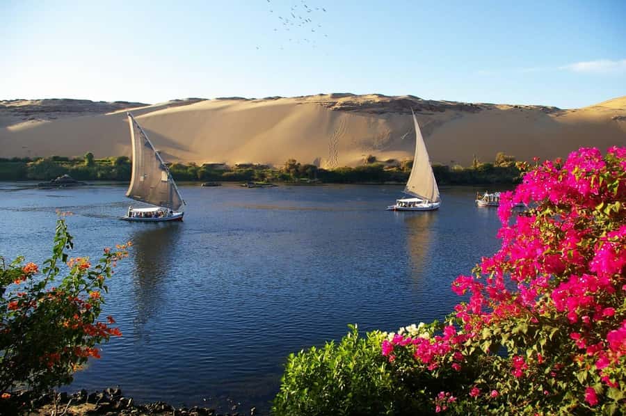 Private Felucca Ride on the Nile River - Who will like this Nile ride most