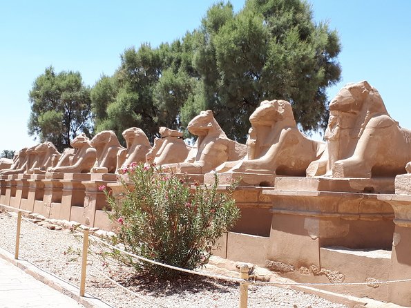 Private Full Day Tour to Luxor from Cairo with Flight - Luxor Temple and the extra places listed