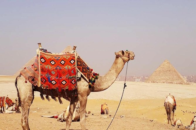 Private Half-Day Tour to Giza Pyramid ,Sphinx and Camel Ride - Key points to know before booking
