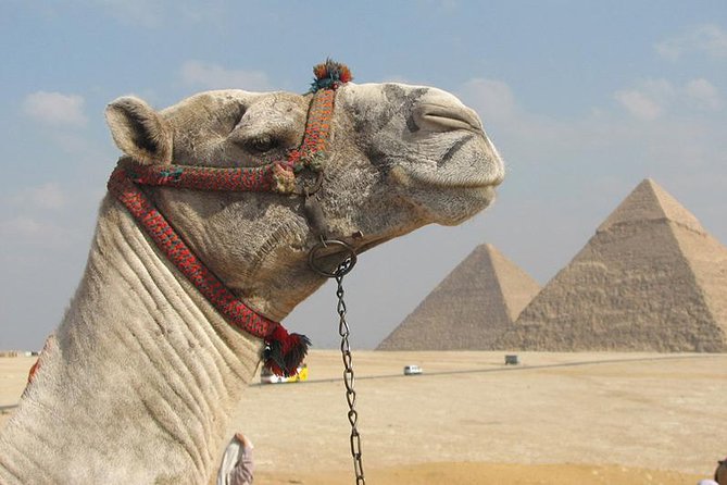 Private Journey :Grand Egyptian Museum & Giza Pyramids - Why this Cairo combination works so well