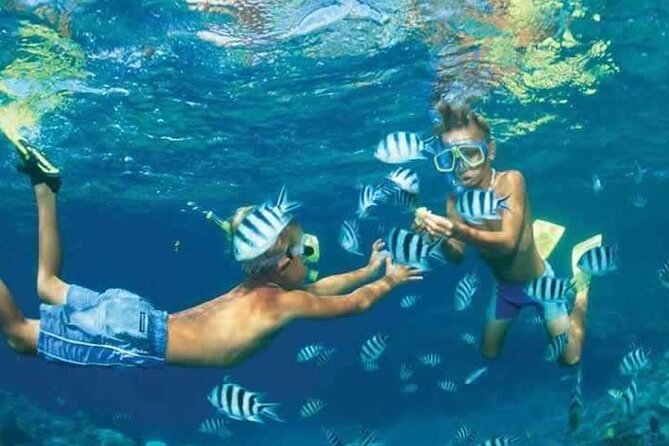 Private Speed Boat Snorkeling with Dolphins Trip - Hurghada - Searching for dolphins with a local captain