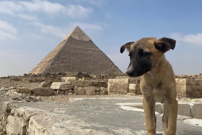Private Tour Giza Pyramids, Egyptian Museum, Bazar And Lunch - What the Private Car and Guide Add