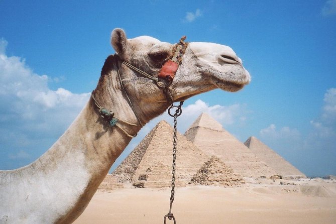 Private Tour: Giza Pyramids, Sphinx, Memphis, Sakkara - Saqqara and the Step Pyramid