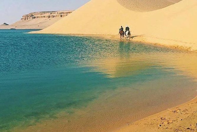 Private Tour To Fayoum Oasis, Valley Of The whales & Wadi Al Rian From Cairo. - Wadi El Rayan and the small waterfall