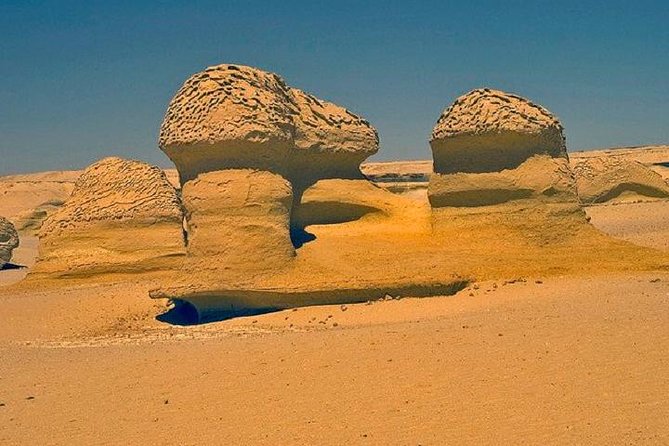 Private Tour To Fayoum Oasis, Valley Of The whales & Wadi Al Rian From Cairo. - The Valley of the Whales, the day’s main prize