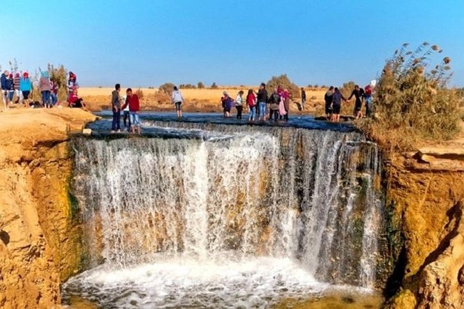 Private Tour To Fayoum Oasis, Valley Of The whales & Wadi Al Rian From Cairo. - What the private format changes