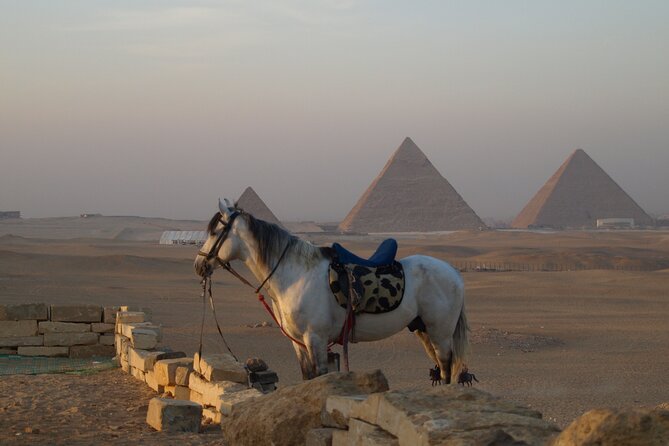 Private tour to Giza Pyramids, Sphinx and Egyptian museum - The Sphinx and Valley Temple