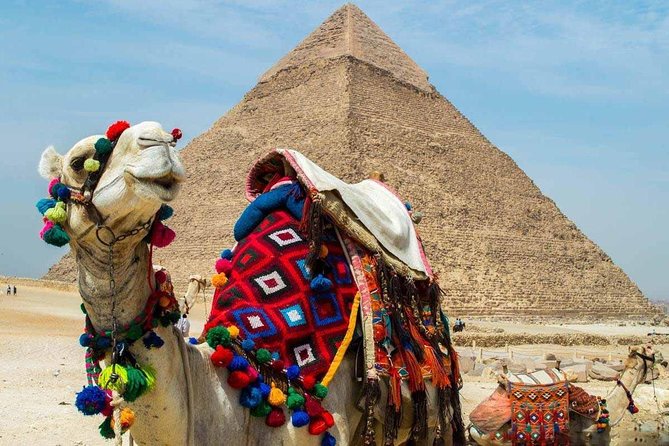 Private tour to Giza Pyramids, Sphinx and Egyptian museum - Lunch and the unclear inclusion list