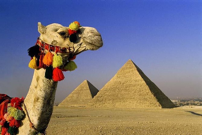 Private Tour to Giza Pyramids, Sphinx, Saqqara Pyramids & Memphis - Saqqara and the Step Pyramid of Djoser