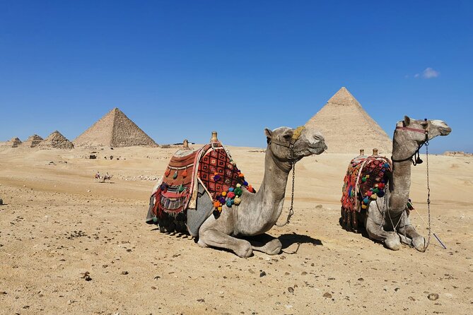 Private Tour to Giza Pyramids, Sphinx with Camel Ride and Lunch - Transport, timing, and the $33 price