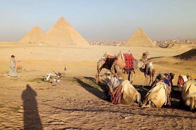Private Tour to The Great Pyramids, Sphinx and Camel Ride - Meeting your guide and reaching the plateau
