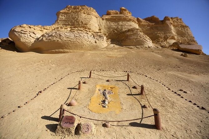 Private Tour to Whales Valley & Wadi El Rayan Waterfalls in El Fayoum from Cairo - Why Wadi Al-Hitan is worth the long ride