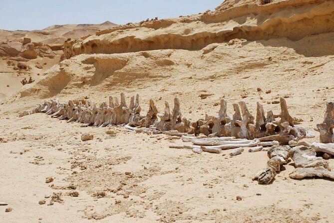 Private Tour to Whales Valley & Wadi El Rayan Waterfalls in El Fayoum from Cairo - The 4x4 safari, dunes, and sandboarding