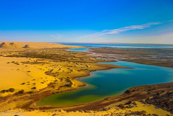Private Tour to Whales Valley & Wadi El Rayan Waterfalls in El Fayoum from Cairo - Tunis Village and the view over Fayoum