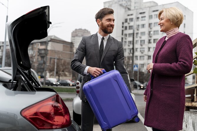 Private transfer from Cairo Airport to the hotel in Cairo or Giza - Cairo Airport arrival without the taxi negotiation
