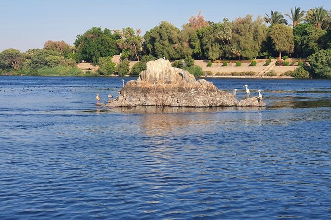 Private Trip to Nubian Village and Felucca Ride in Aswan - The motorboat transfer and optional Nile swim