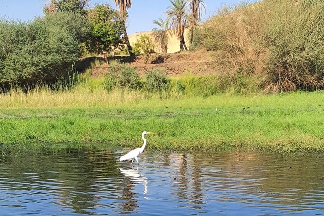 Private Trip to Nubian Village and Felucca Ride in Aswan - Walking into the Nubian village