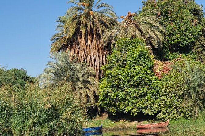 Private Trip to Nubian Village and Felucca Ride in Aswan - What Omar Kashy brings to the experience