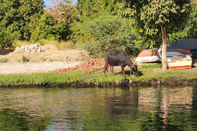Private Trip to Nubian Village and Felucca Ride in Aswan - Time, comfort, and practical value