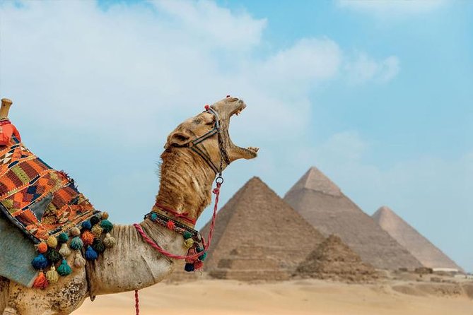 Private ViP all-inclusive Giza Pyramids,Sphinx,Inside Pyramid - Khafre, the Sphinx, and the Valley Temple