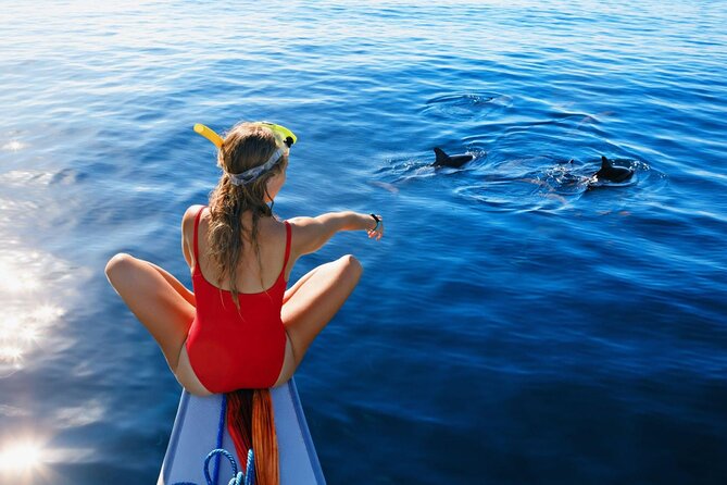 Private Yacht Cruise to Dolphin House with Lunch : Hurghada - Sailing toward Dolphin House
