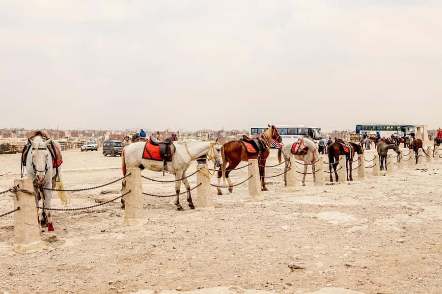 Pyramids of Giza and Great Sphinx: Private Half-Day Tour - Chephren and Mykerinos complete the pyramid story
