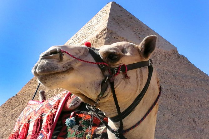 Pyramids of Giza & Saqqara complex - Starting at 8:00 a.m. from Cairo or Giza