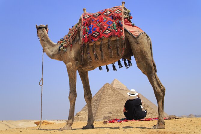 Pyramids of Giza, Sphinx and Egyptian Museum Day Tour - The Great Sphinx and an Egyptian lunch