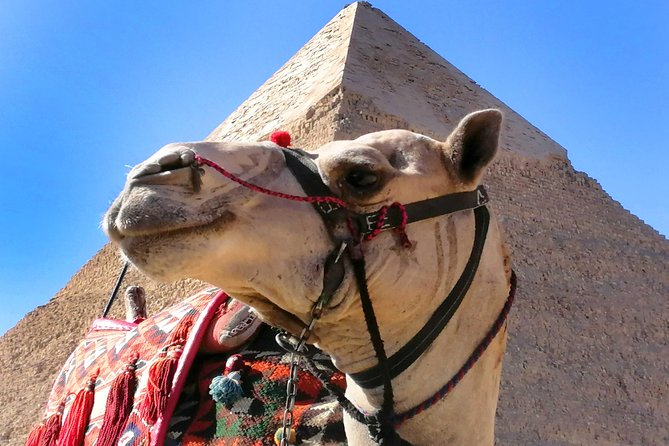 Pyramids of Giza, the Sphinx, the Egyptian Museum. - Who should book this Cairo tour?