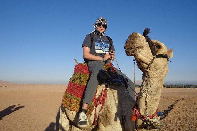 Quad Biking Safari-Camel Ride-Bedouin Dinner and Shows From Sharm - Dinner at the Bedouin camp