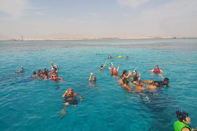 Ras Mohamed & White Island Experience Sharm El Sheikh - Lunch is filling, not a reason to choose the trip