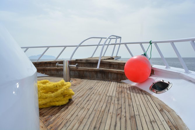 Ras Mohamed & White Island Experience Sharm El Sheikh - The crew can shape the whole experience