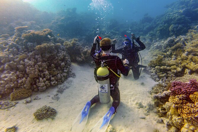Red Sea Diving Trip from Hurghada: Beginner to Advanced Divers - The boat day: an early start and a useful break